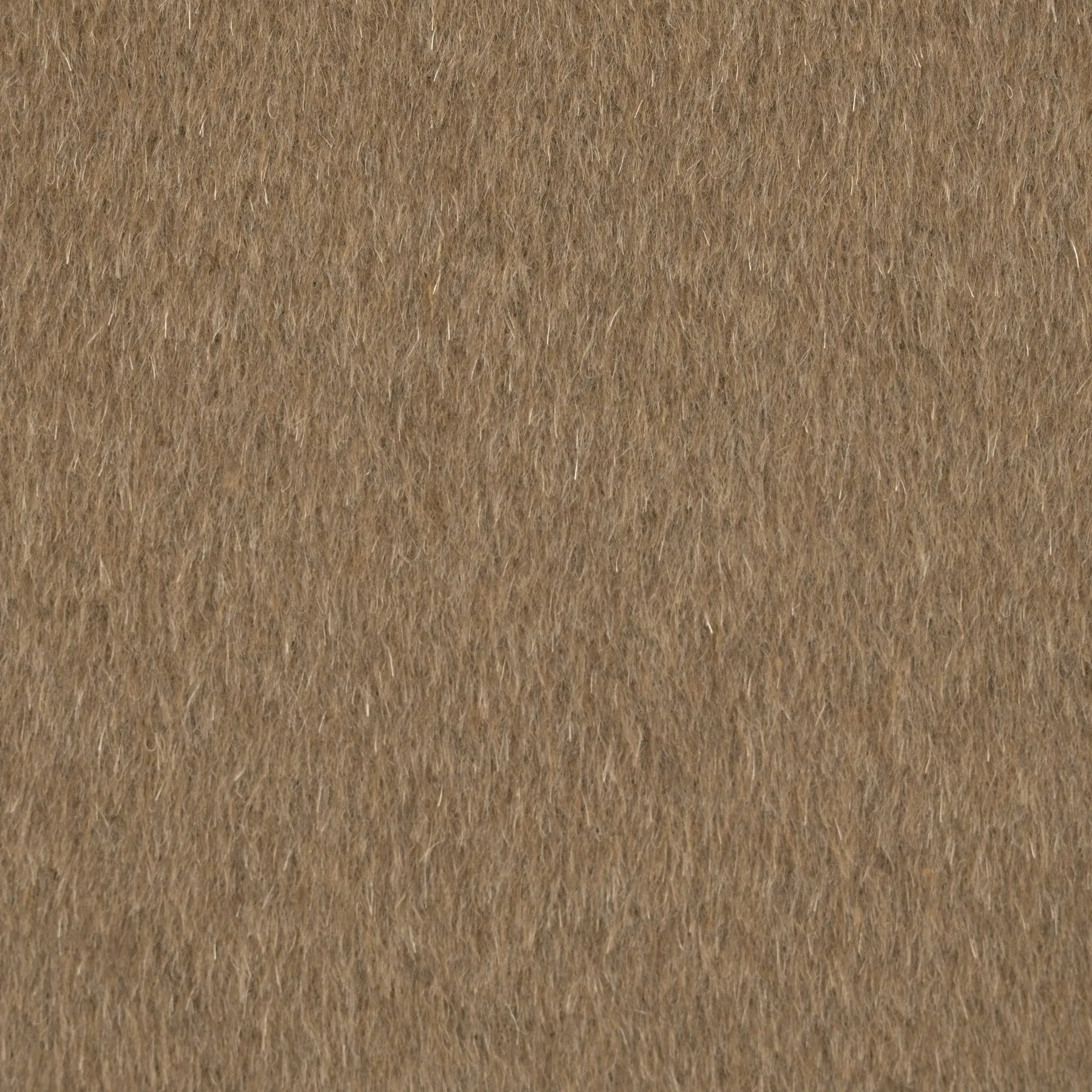 Beige Coating Fabric 96678