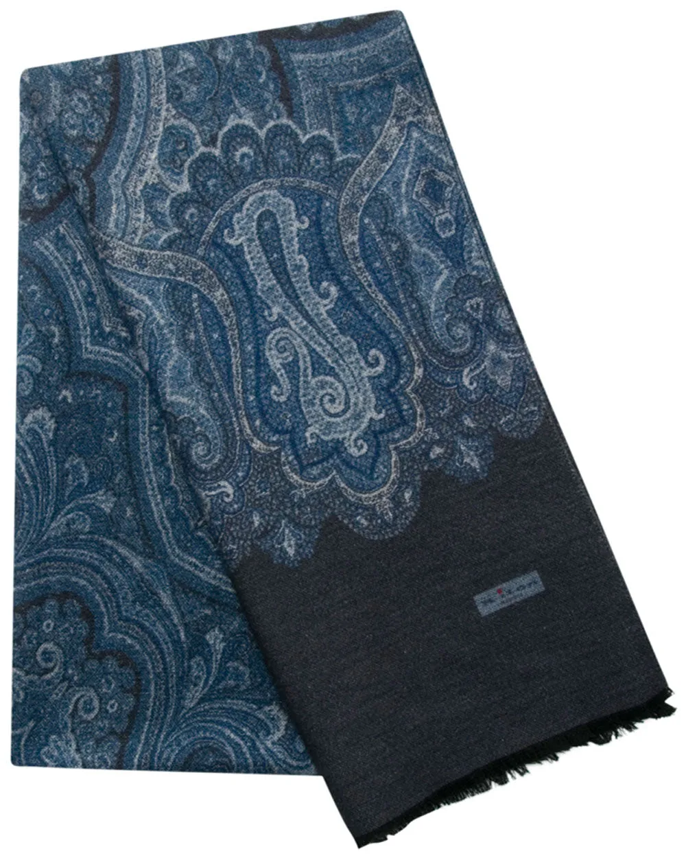 Paisley Print Silk Scarf in Blue